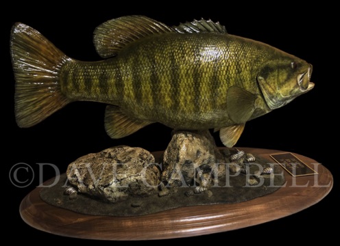 22" Smallmouth Bass